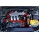 FORD PROBE 1993-1997 2.5L V6 DOHC GT FORD PROBE 1993-1997 2.5L V6 DOHC GT